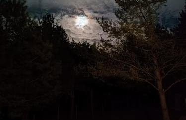 Świetna Chatka nad jeziorem - Foto 28