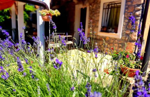 Apartman Pelcic,with WiFi and free parking - Foto 2