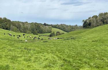 The Workshop - Foto 29