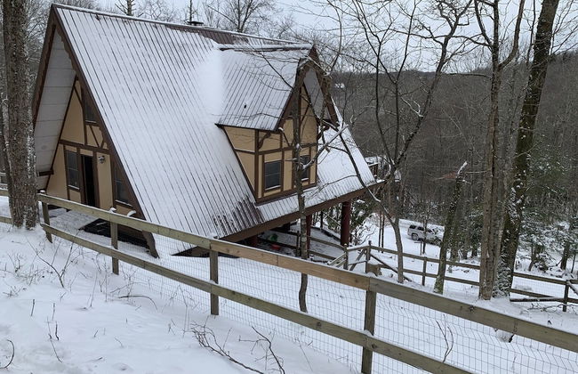 Unforgettable Dreams - Foto 18