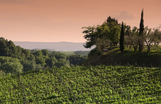 Agriturismo Poggio Bonelli - Foto 28