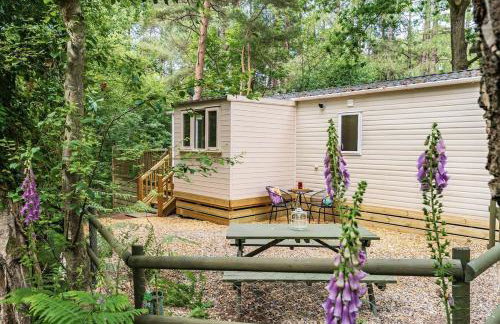 Tree Tops - Norfolk Cottage Agency - Photo 1