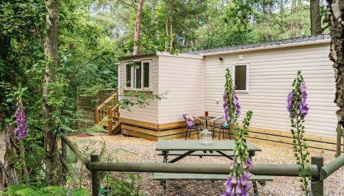 Tree Tops - Norfolk Cottage Agency - Foto 1