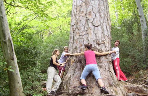 La Caseta del Port - Foto 26