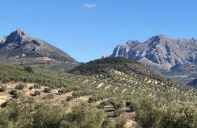 Large 1 bed apartment in the beautiful countryside - Foto 17