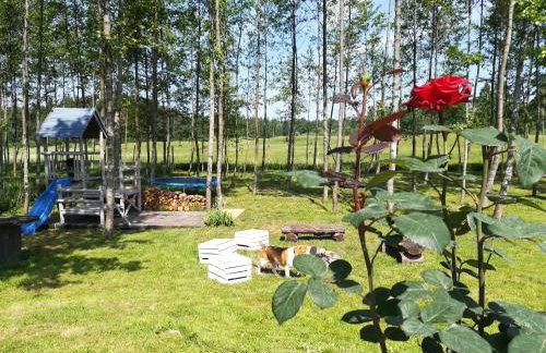 Wiejska Chata - Foto 8