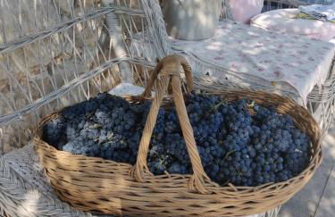 Le Mas Saint Pierre - Foto 29