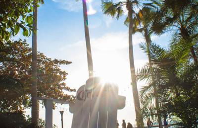 Little Harbor Resort #116 Tampa Bay Florida Beach Bayview - Foto 20