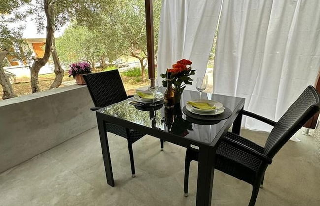 Martina - Large and Comfortable Apartments - SA2 - Photo 11