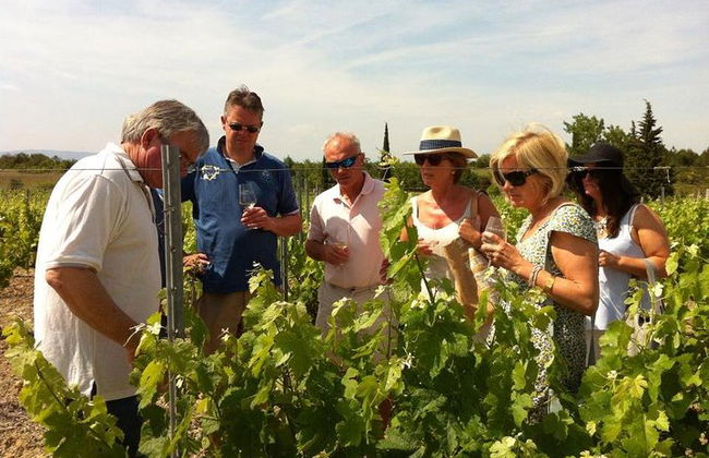 Cité de Carcassonne und private Weinprobe von Toulouse - Foto 6