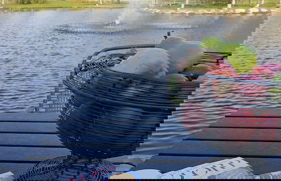 Åmund Vin & Fruktgård - Foto 56