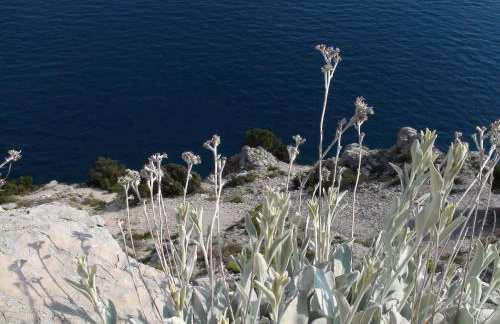 Apartment Lara Pisak - Foto 21