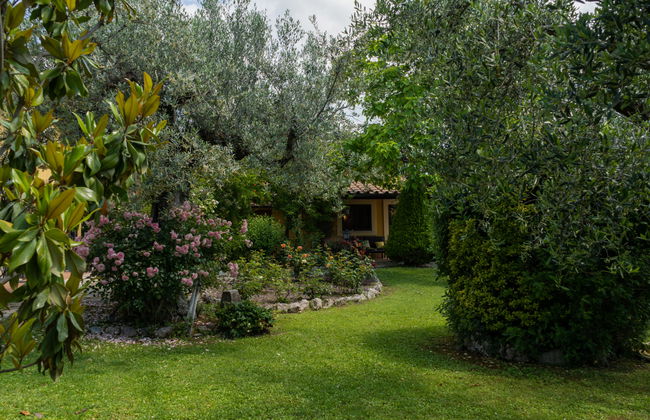 Olive Grove Sabina - Foto 43