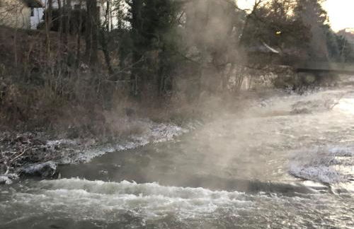 Ferienhaus Dornröschen - Foto 39