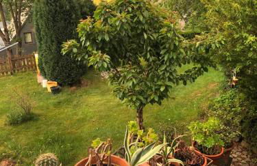 Fewo Kuller - Foto 18