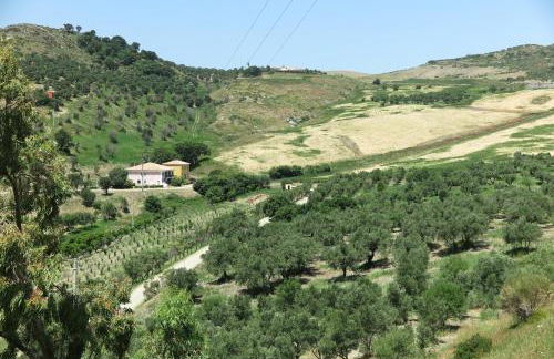 Tenuta Agrituristica Castellesi - Foto 13