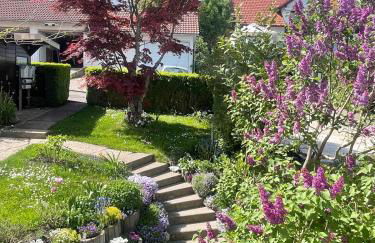 Schönblick - Foto 21