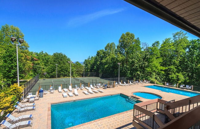 Swiss Bear Haus - Photo 24