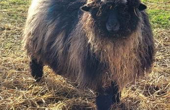 Cater Tober Haven - Photo 8