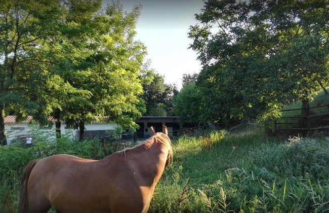 R&B Brigida - Photo 36