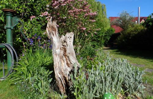 Lütt Verbliev - Foto 23