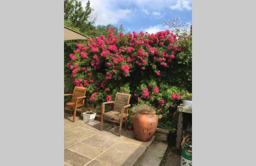 Contact for Mon-fri deals - Foto 10