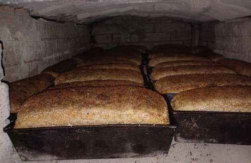 PRZYSTANEK nowEKOprzywno - Żółty Domek Pod Kasztanem - Foto 18