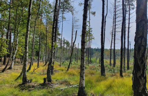 Zaciszne SPA - Foto 22