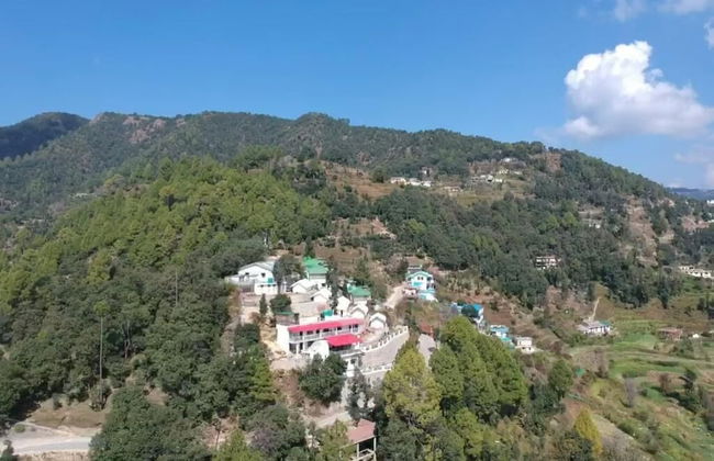 D Jungle Dabas Cottages - Foto 20