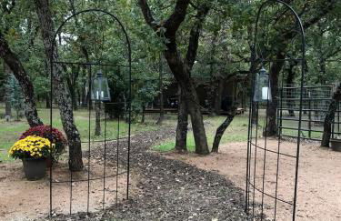 Hidden Treasure Harvest House Forest Getaway 30 Min. West of Fort Worth - Photo 10