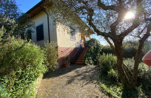 Chianti Holidays, Il Poggetto da Alfina - Foto 4