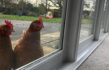 Yew Tree Farm Lodge - Photo 14