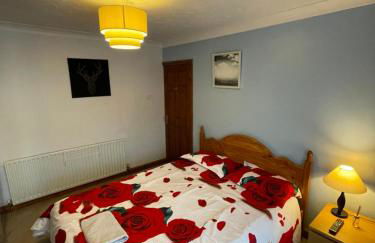 Lovely 4 bed house with patio & bbq - Photo 3