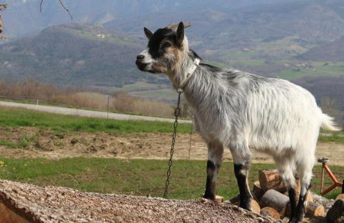 Chalets du Bois de Vache - Foto 35