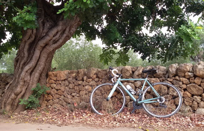 Casa Angela Rosa - Foto 18