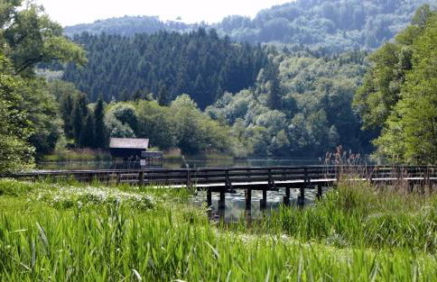 Villa Karlsbach - Foto 19