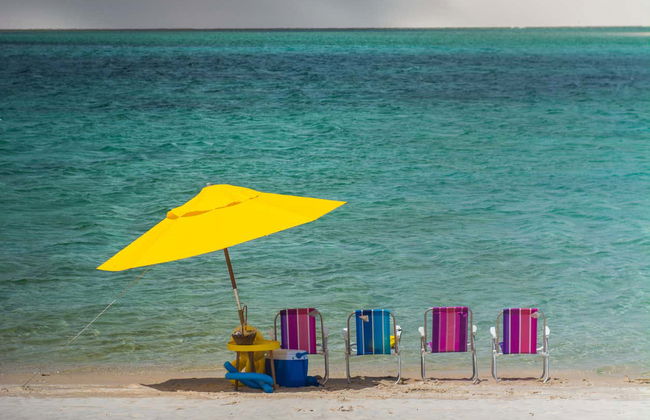 Tour della Lagoa da Andorinha in 4x4 - Foto 2