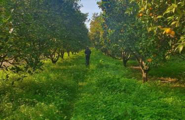 Pinhão House - Foto 29