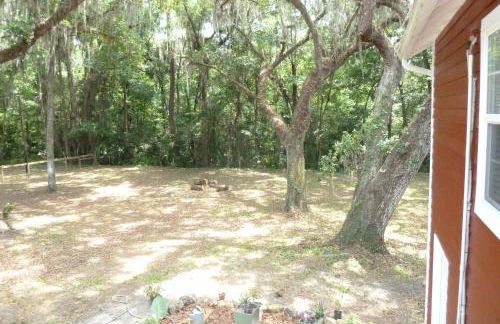 Micanopy Countyline Cottages - Foto 32