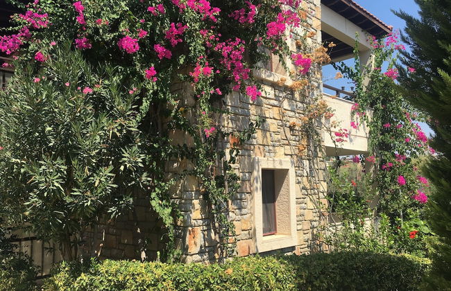 Villanaz Apart Hotel - Photo 21