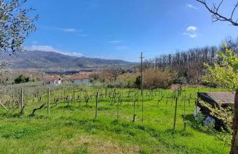 Da Chicca - Photo 13