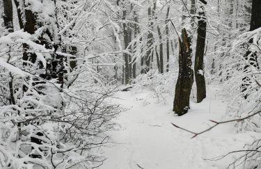 Sowiogórska Ostoja - Foto 31