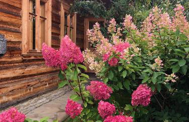 Góralskie domy w Łostówce - Foto 30