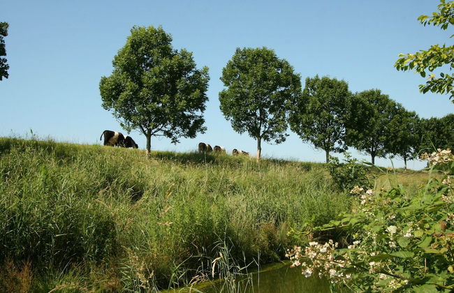 Dike House in Schoondijke Near Beaches - Foto 25
