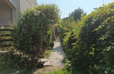 WILLA MIŁA - Foto 9