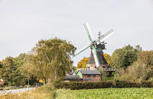 De Olle Uhlhoff - Foto 11