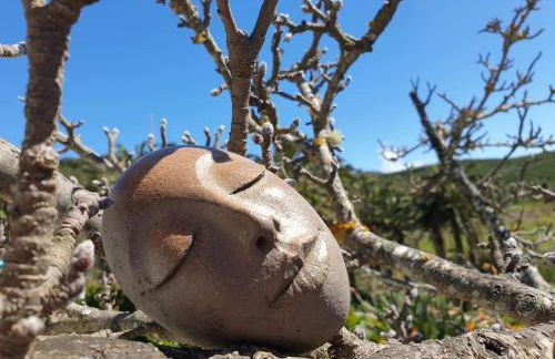 Casa Tara Ruhe und Entspannung, Natur pur - Foto 14