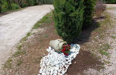 Colle Perazzoni - Foto 30