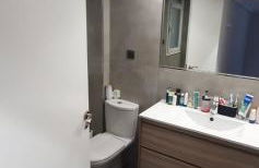 Oasis Mezquite - Photo 7