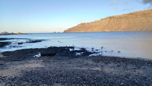 APARTAMENTOS FLOR - Photo 4